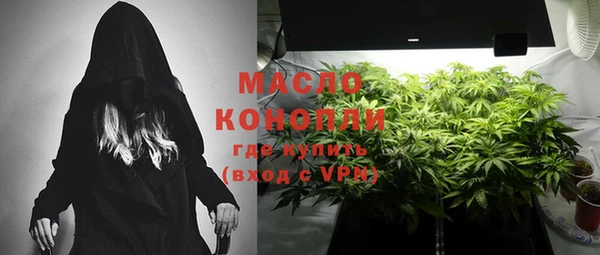 молекула духа Арсеньев