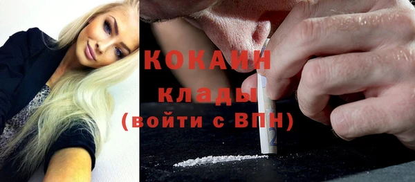 молекула духа Арсеньев