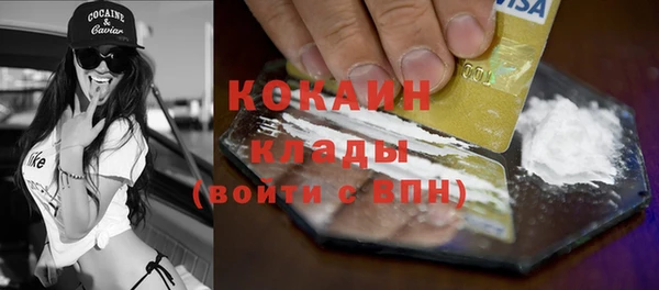 молекула духа Арсеньев