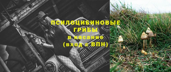 молекула духа Арсеньев