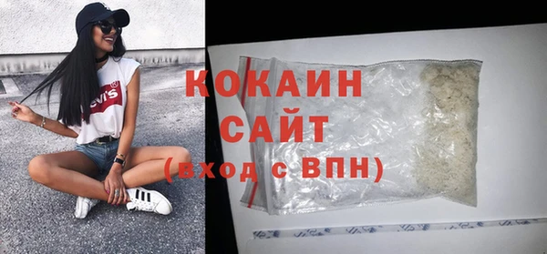 прущие грибы Армянск