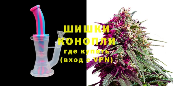 молекула духа Арсеньев