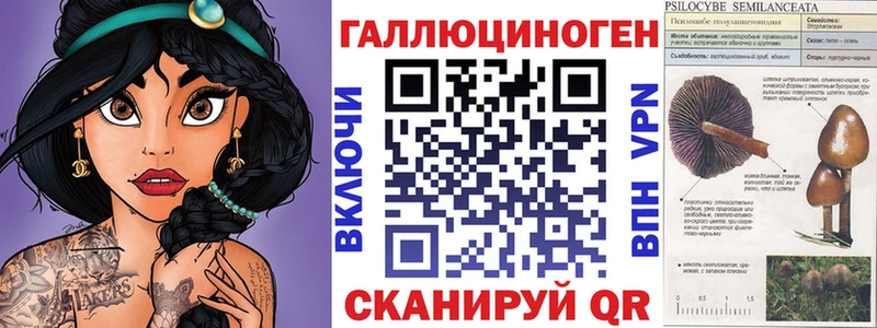 Псилоцибиновые грибы Cubensis  Куса 